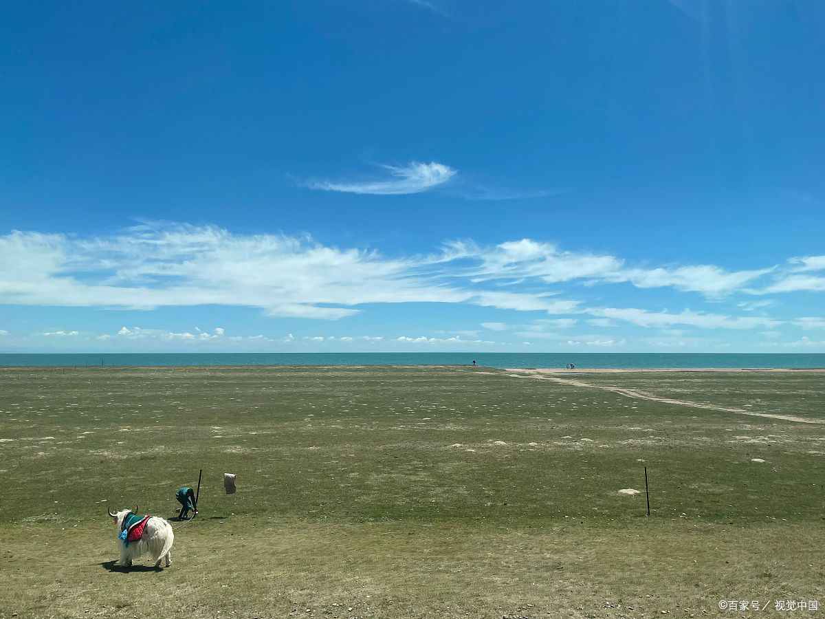 青海环线游